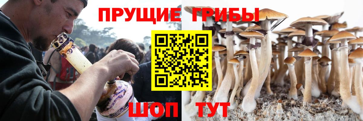 Кудымкар  купить наркотик  Вход с VPN  Галлюциногенные грибы прущие грибы 